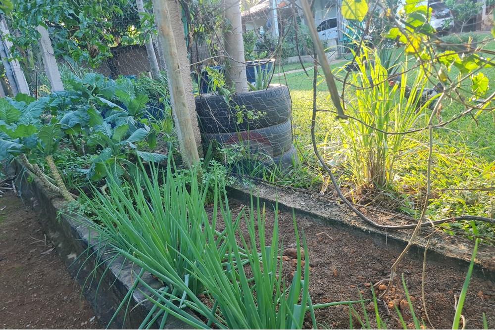 Chácara / Sítio / Fazenda - Venda - Brasília , Distrito Federal - 20250507_165601.jpg - 880321021-71