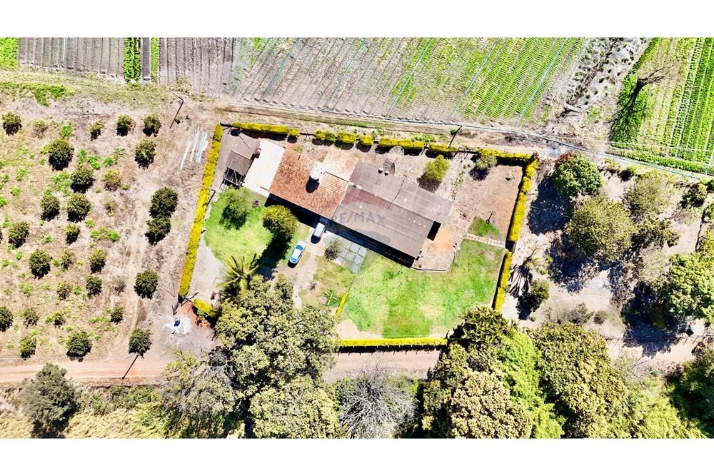 Chácara / Sítio / Fazenda - Venda - Ceilandia , Distrito Federal - DJI_20250707104033_0347_D.jpg - 880411017-37