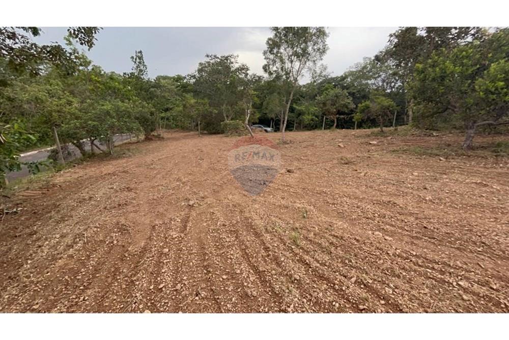 Terreno - Venda - Brasília , Distrito Federal - WhatsApp Image 2025-01-29 at 20.55.29.jpeg - 880331038-47