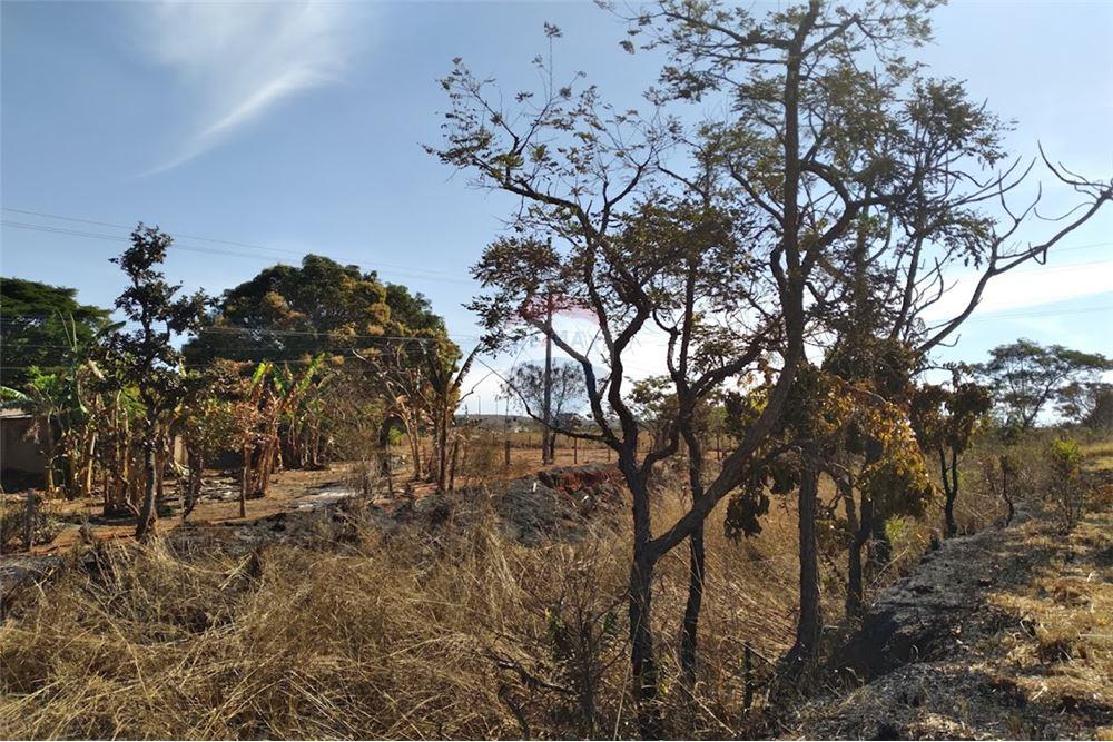 Chácara / Sítio / Fazenda - Venda - Gama , Distrito Federal - 25 - 880321005-55