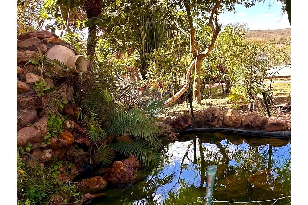 Terreno - Venda - Brasília , Distrito Federal - IMG_0382.jpg - 880341021-132