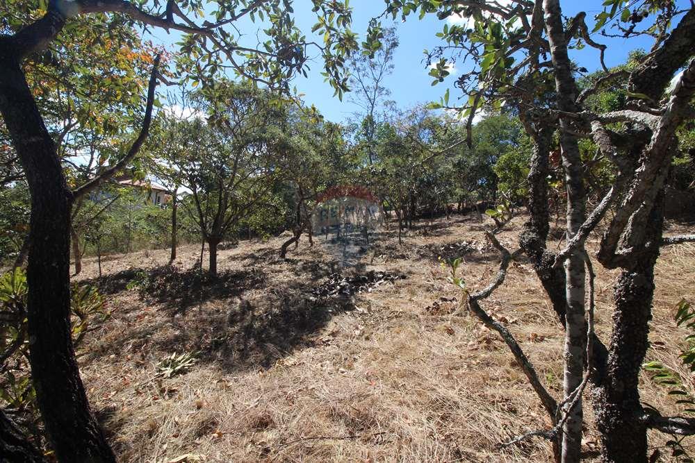 Terreno - Venda - Brasília , Distrito Federal - Interior - fundo para frente - dir para esq I (1).JPG - 880151004-211