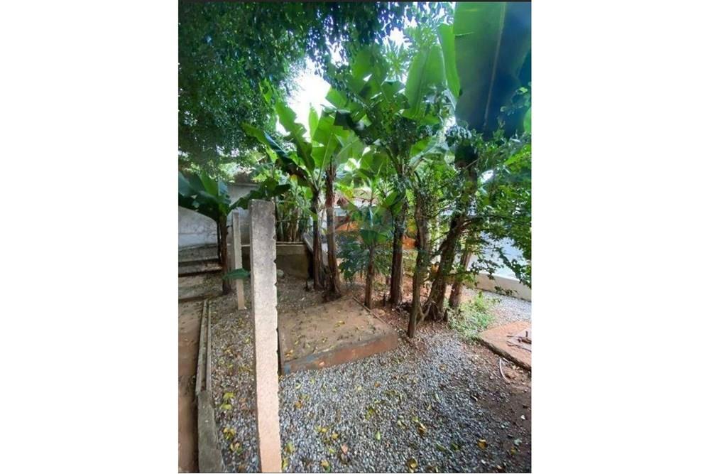 Casa - Venda - Candangolândia , Distrito Federal - 9.jpeg - Jardim Externo - 880391078-10