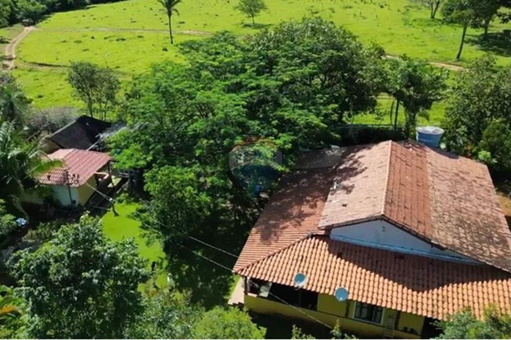 Chácara / Sítio / Fazenda - Venda - Mimoso de Goiás , Goiás - 756522745649866.jpg - 880111016-54