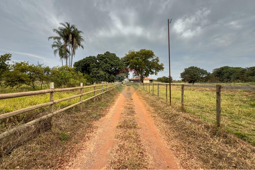 Chácara / Sítio / Fazenda - Venda - Sobradinho , Distrito Federal - 24062025-IMG_9515.jpg - 880221062-3