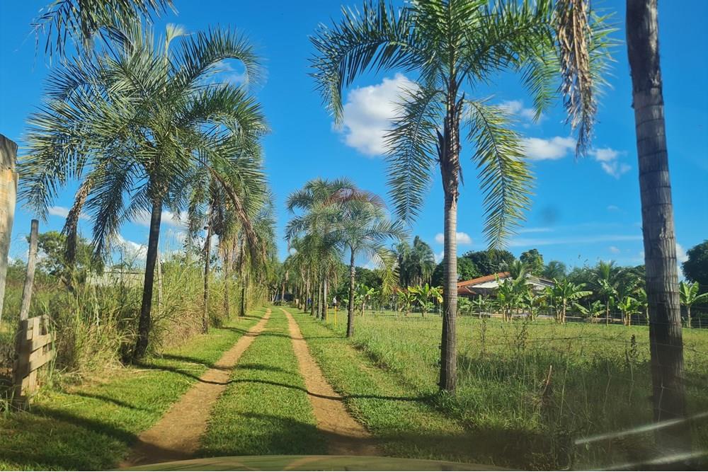 Chácara / Sítio / Fazenda - Venda - Brasília , Distrito Federal - 20250507_153040.jpg - 880321021-71