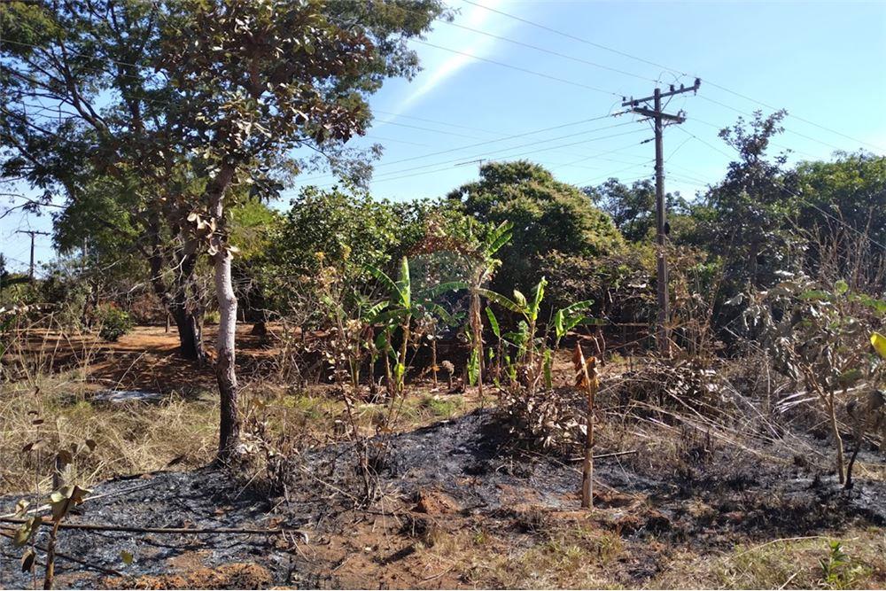 Chácara / Sítio / Fazenda - Venda - Gama , Distrito Federal - 22 - 880321005-55