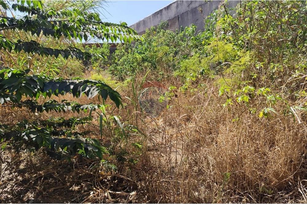 Terreno - Venda - Ceilandia , Distrito Federal - WhatsApp Image 2025-08-28 at 13.24.51 (1).jpeg - 880241002-34