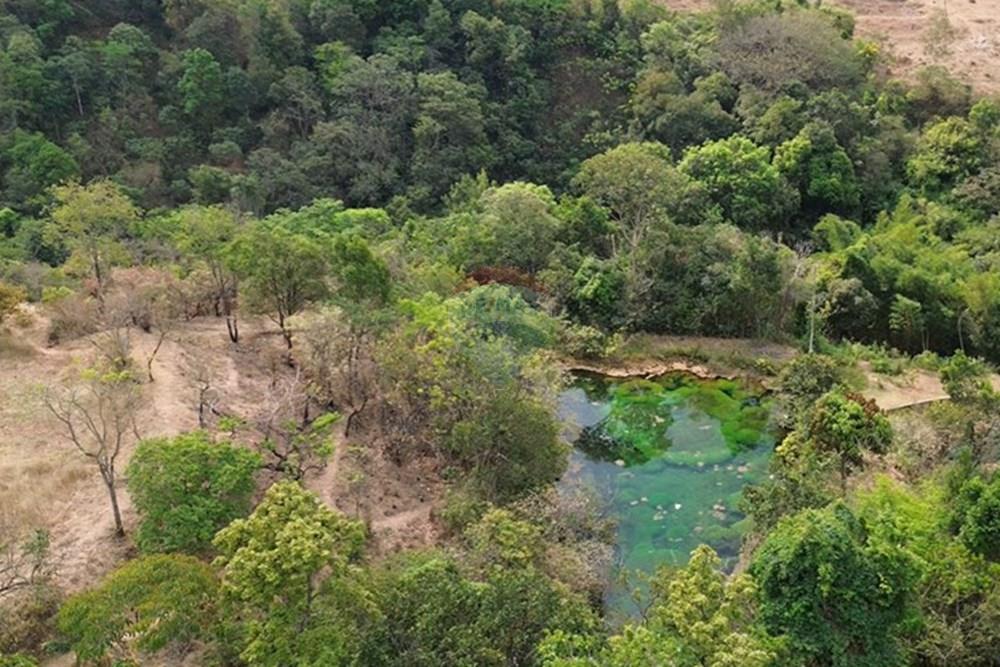 Chácara / Sítio / Fazenda - Venda - Gama , Distrito Federal - Captura de Tela (9875) copiar.jpg - 880161051-13