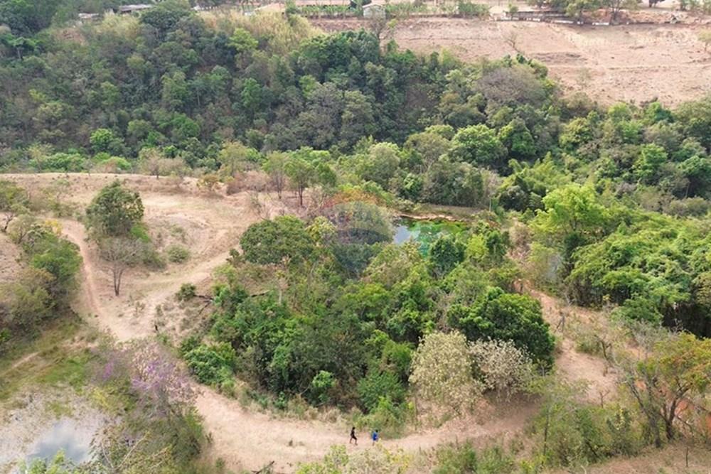 Chácara / Sítio / Fazenda - Venda - Gama , Distrito Federal - Captura de Tela (9874) copiar.jpg - 880161051-13