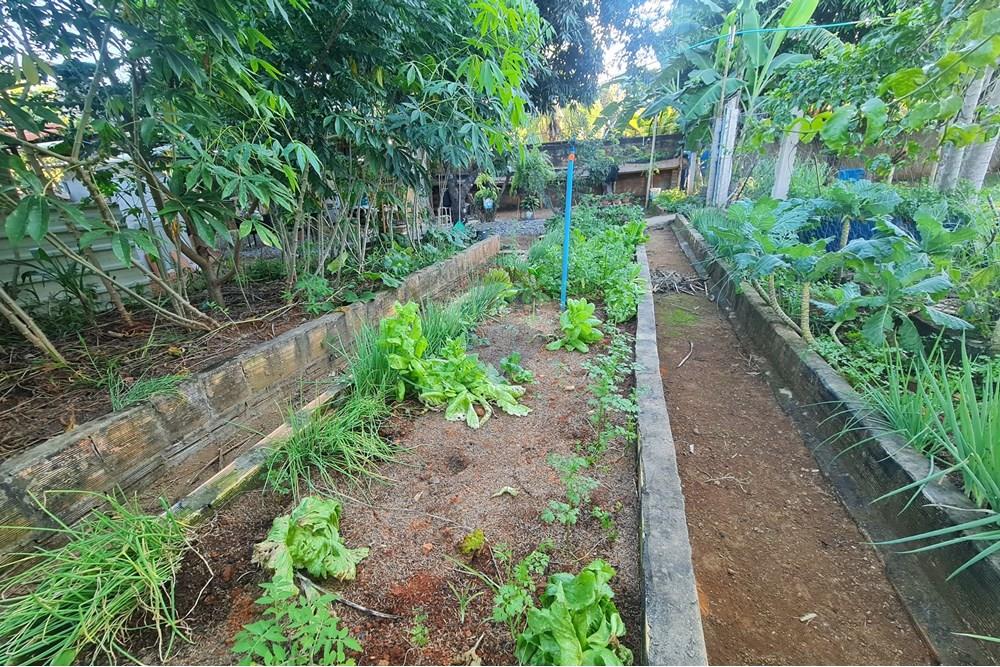 Chácara / Sítio / Fazenda - Venda - Brasília , Distrito Federal - 20250507_165545.jpg - 880321021-71