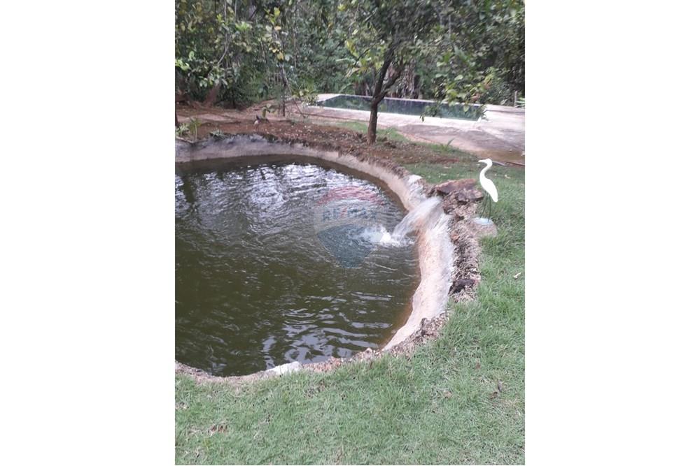 Chácara / Sítio / Fazenda - Venda - Padre Bernardo , Goiás - FOTO POCO E PISCINA.jpeg - 880231148-6