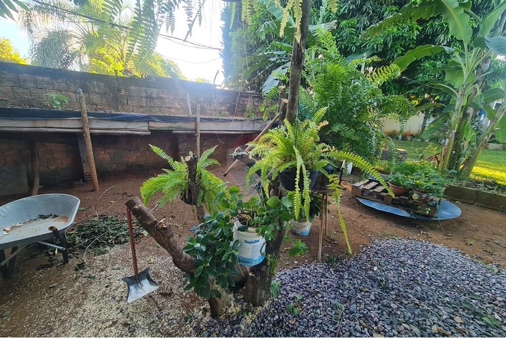 Chácara / Sítio / Fazenda - Venda - Brasília , Distrito Federal - 20250507_165524.jpg - 880321021-71