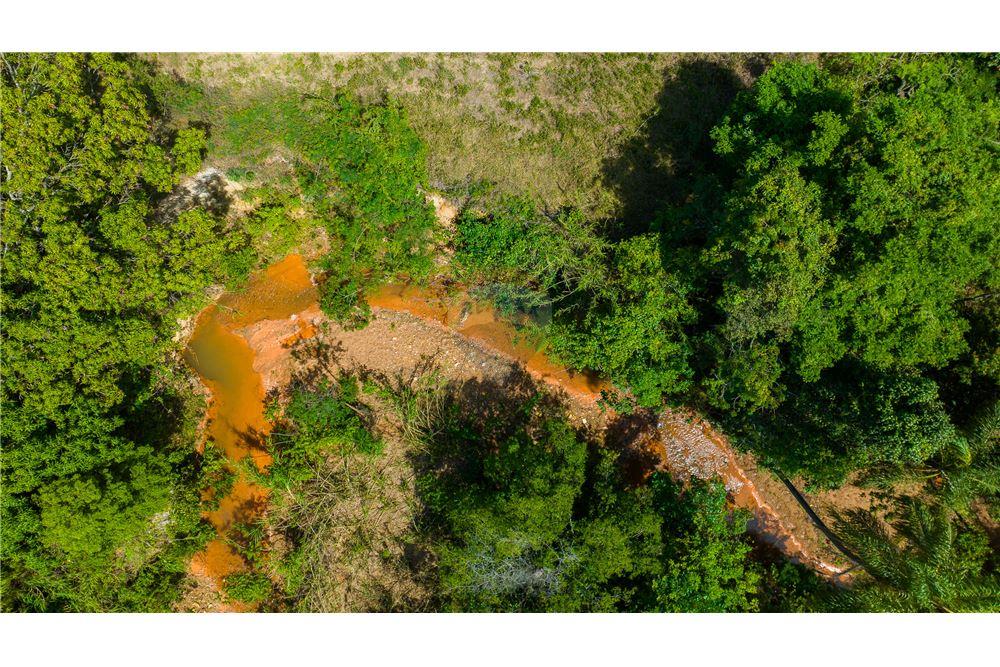 Chácara / Sítio / Fazenda - Venda - Ceilandia , Distrito Federal - 3 - 880241010-49