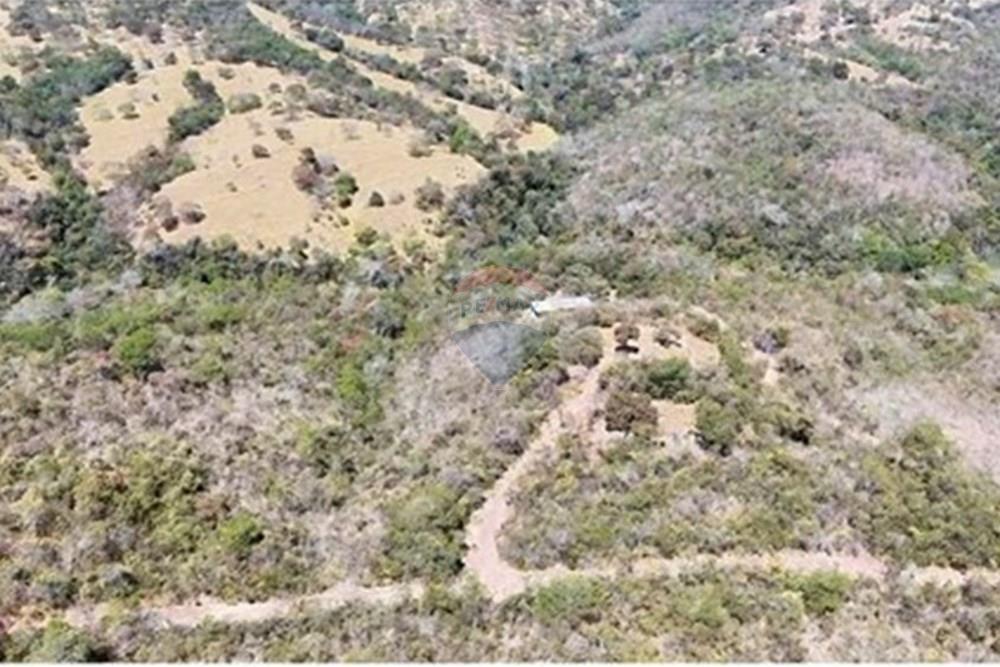 Chácara / Sítio / Fazenda - Venda - Luziânia , Goiás - L_b4cd006b-b7ac-4bab-be96-c817e0db90d2.jpg - 880231017-81