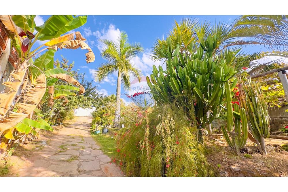 Casa - Venda - Águas Claras , Distrito Federal - IMG_7142.jpg - 880341027-32