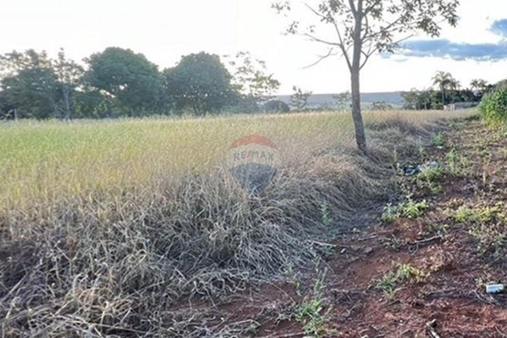 Terreno - Venda - Gama , Distrito Federal - 20.jpg - 880201061-3