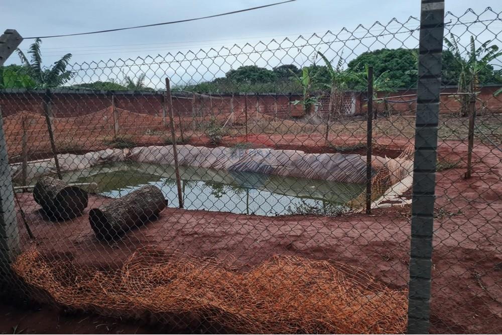 Chácara / Sítio / Fazenda - Venda - Padre Bernardo , Goiás - FOTO TAQUE PEIXE CHACAR EUSTAQUIO.jpeg - 880231148-17