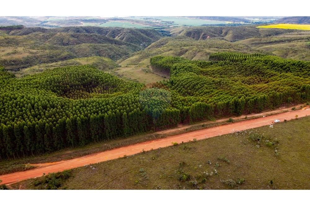 Chácara / Sítio / Fazenda - Venda - Água Fria de Goiás , Goiás - IMG-20250526-WA0147.jpg - 880231017-80