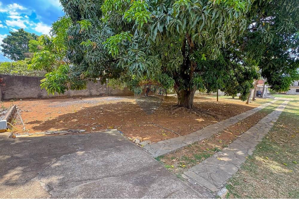 Chácara / Sítio / Fazenda - Venda - Ceilandia , Distrito Federal - IMG_8913.jpg - Quintal - 880231186-13