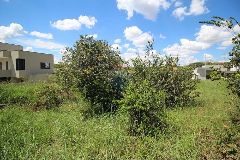 Terreno - Venda - Brasília , Distrito Federal - Interior do terreno 3.JPG - 880151004-198
