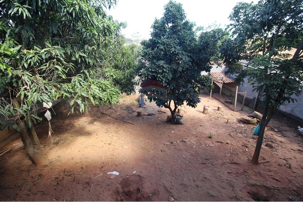 Casa - Venda - Brasília , Distrito Federal - 13 - Quintal.JPG - 880151004-205