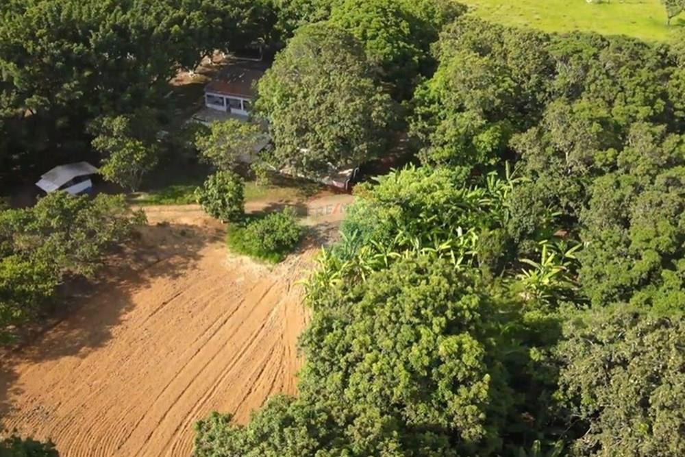 Chácara / Sítio / Fazenda - Venda - Gama , Distrito Federal - image (11).jpg - 880321005-55