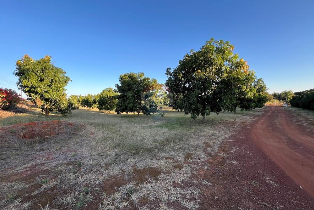 Chácara / Sítio / Fazenda - Venda - Brazlandia , Distrito Federal - IMG_4106.jpg - 880351001-200