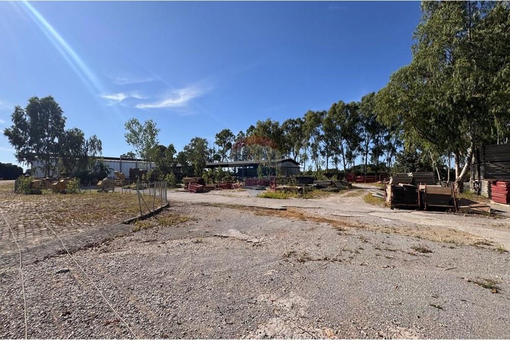 Galpão - Alugar - Recanto das Emas , Distrito Federal - WhatsApp Image 2025-03-28 at 12.08.25.jpeg - 880241011-252