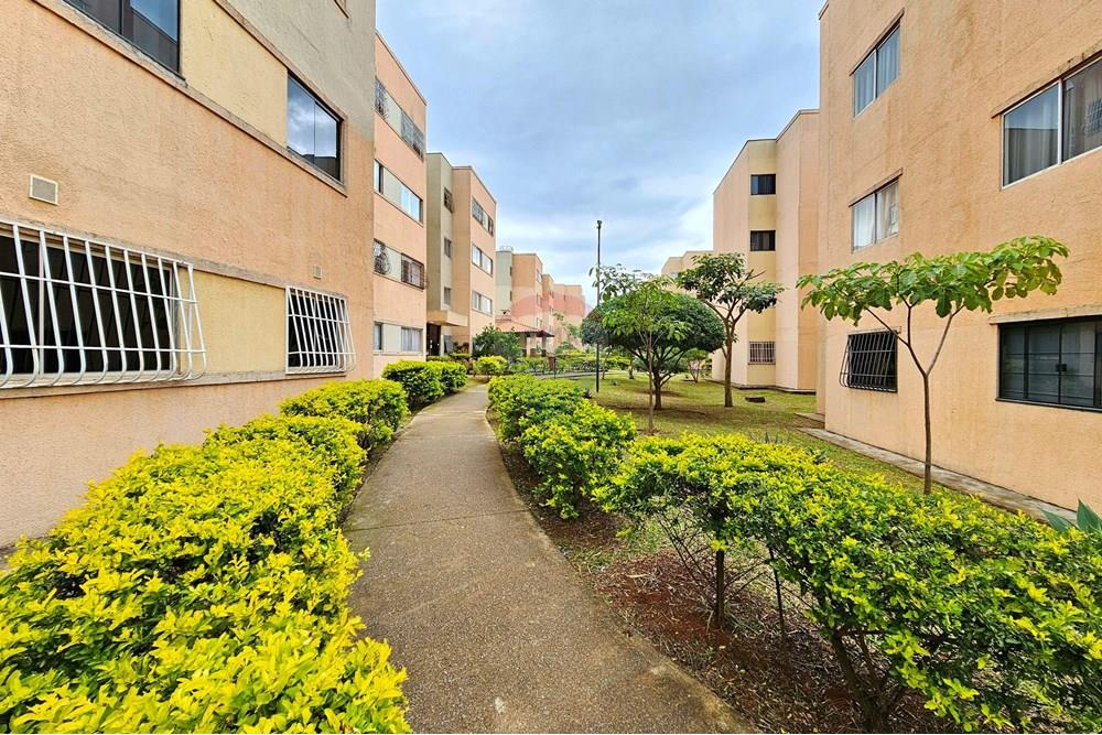 Apartamento - Venda - Riacho Fundo , Distrito Federal - 20240131_140425.jpg - 880391040-68