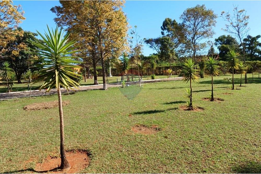 Chácara / Sítio / Fazenda - Venda - Sobradinho , Distrito Federal - WhatsApp Image 2025-05-06 at 09.45.02.jpeg - Quintal - 880411017-27