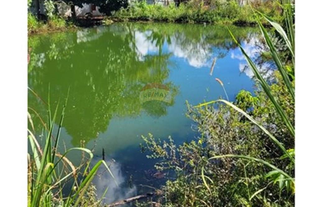 Terreno - Venda - Águas Lindas de Goiás , Goiás - b2c3964a-258f-4ac9-bf77-0691fc4c1589.jpg - 880111016-47