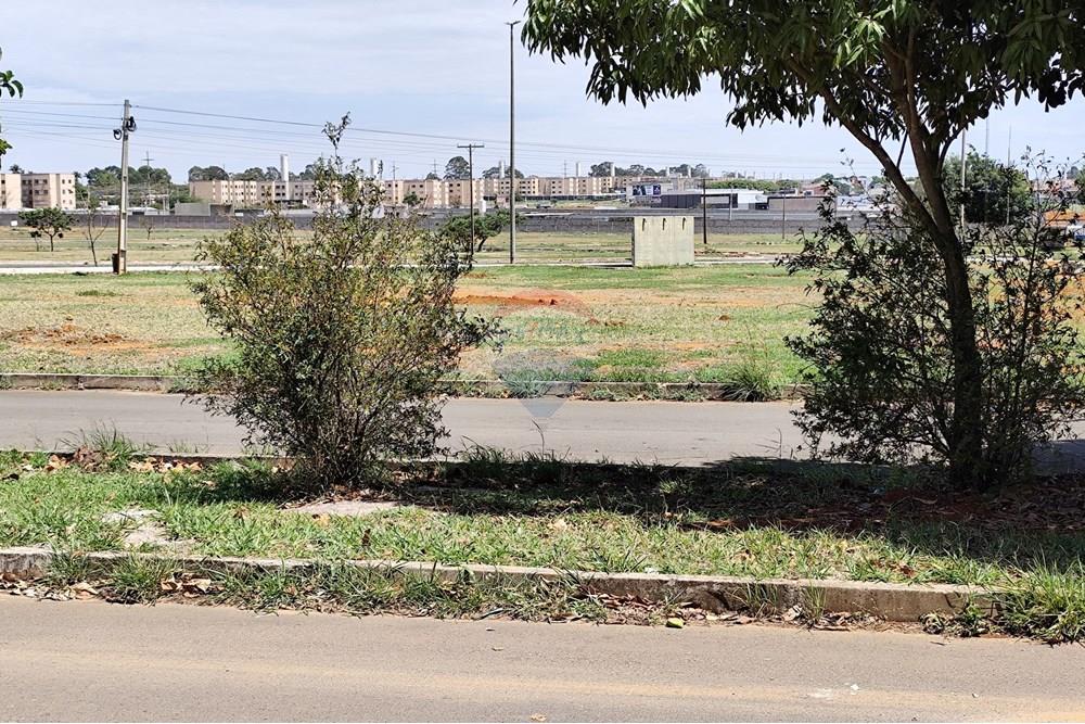 Terreno - Venda - Riacho Fundo , Distrito Federal - 1761498017647.jpg - 880201060-2