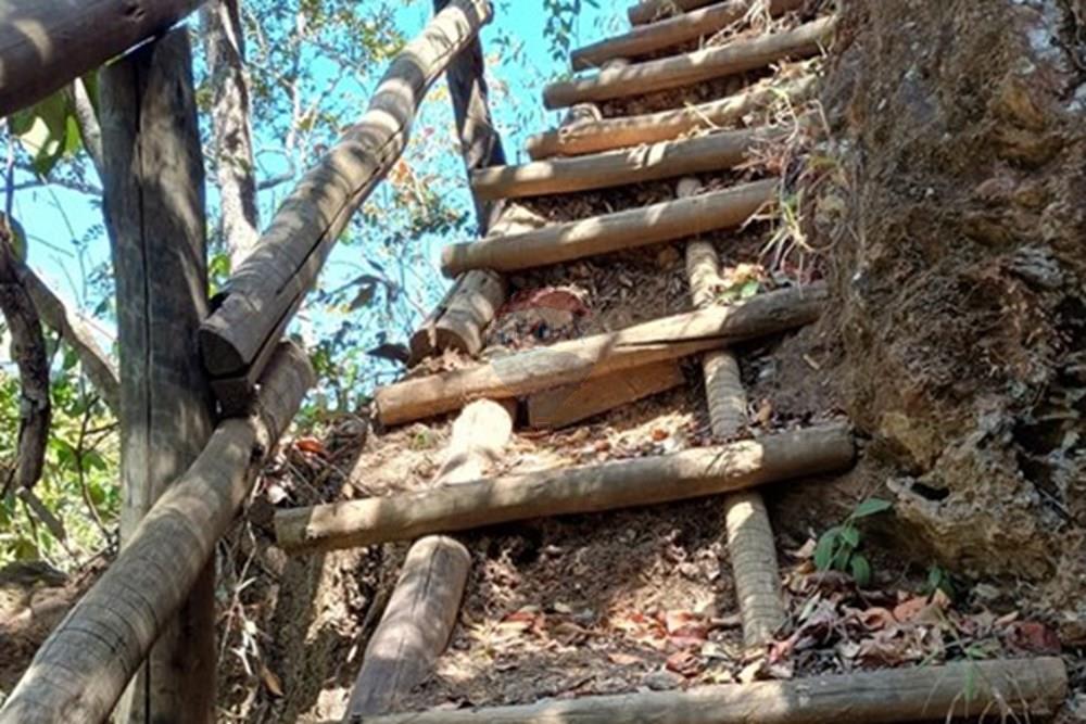 Chácara / Sítio / Fazenda - Venda - Luziânia , Goiás - Imagem do WhatsApp de 2025-06-26 à(s) 23.13.20_23c14785.jpg - 880231017-81