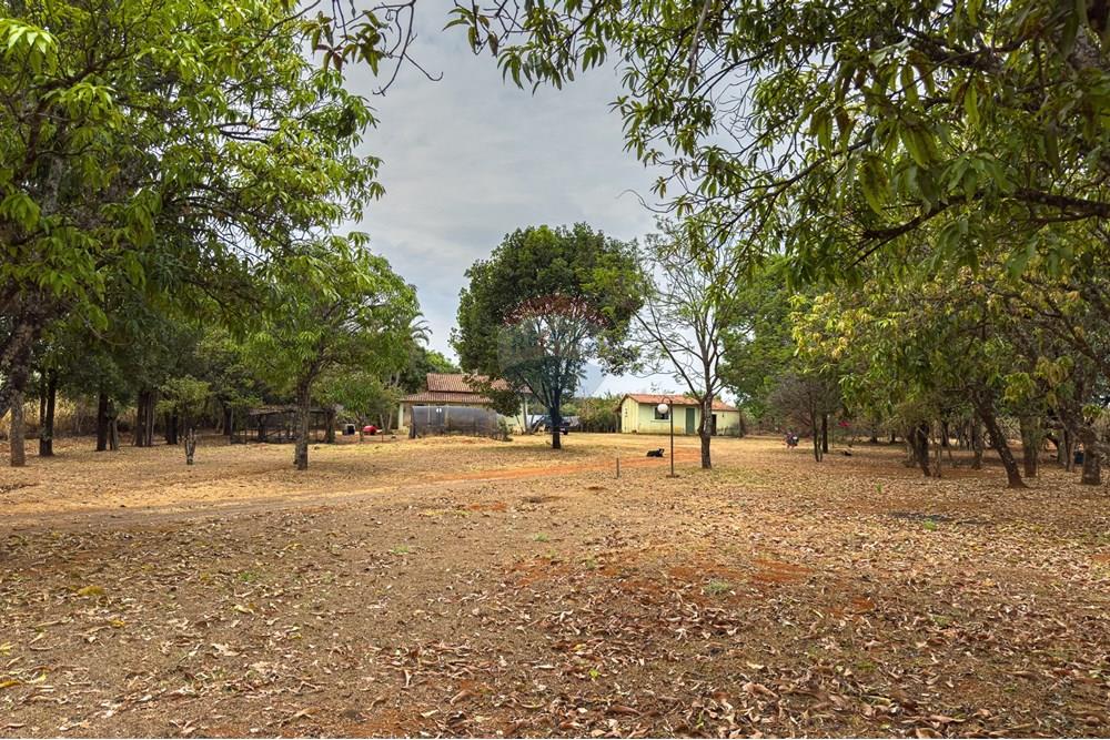 Chácara / Sítio / Fazenda - Venda - Brasília , Distrito Federal - 6.jpg - 880221062-9
