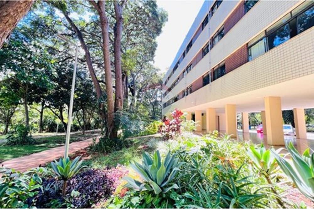 Apartamento - Venda - Brasília , Distrito Federal - L_7128801d-ba80-4ec5-9895-91d2cb3abaad.jpg - 880341045-74
