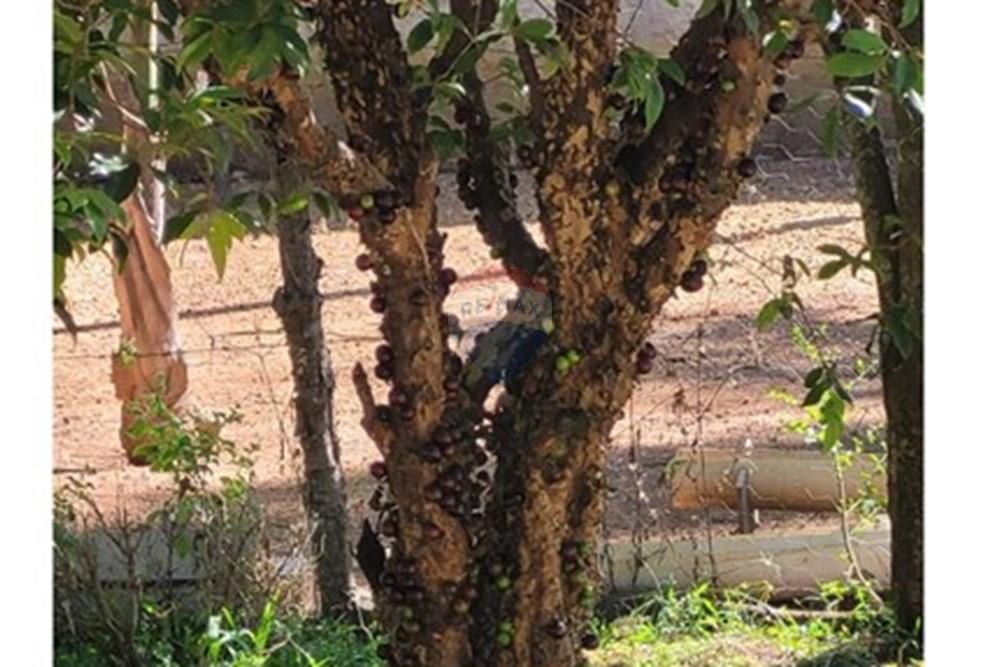 Terreno - Venda - Águas Lindas de Goiás , Goiás - 6989ae9e-4cc8-4e4e-8a18-a0ca0d4bd49b.jpg - 880111016-47