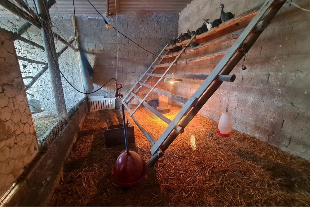 Chácara / Sítio / Fazenda - Venda - Brasília , Distrito Federal - 1003078424.jpg - 880321021-71