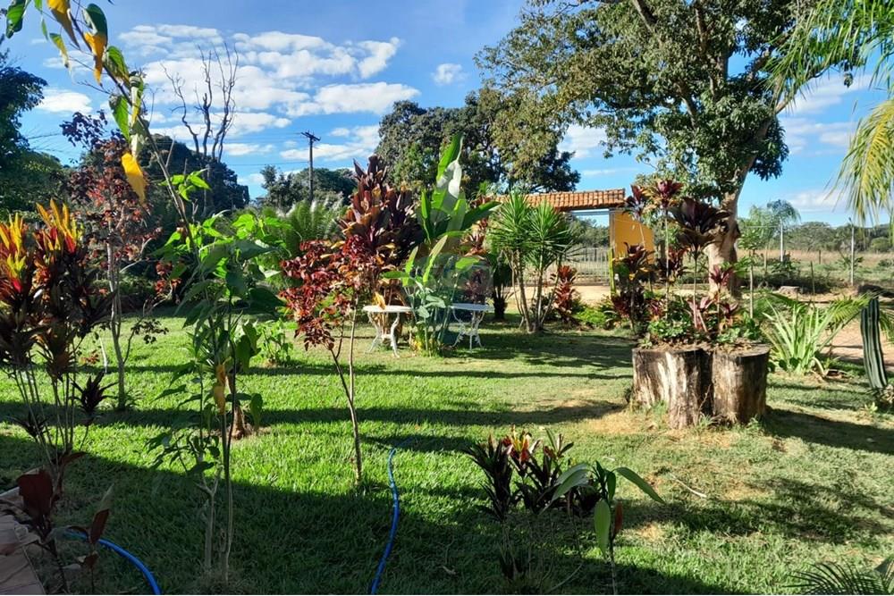 Chácara / Sítio / Fazenda - Venda - Recanto das Emas , Distrito Federal - WhatsApp Image 2025-10-10 at 3.31.45 PM (1).jpeg - 880111016-66