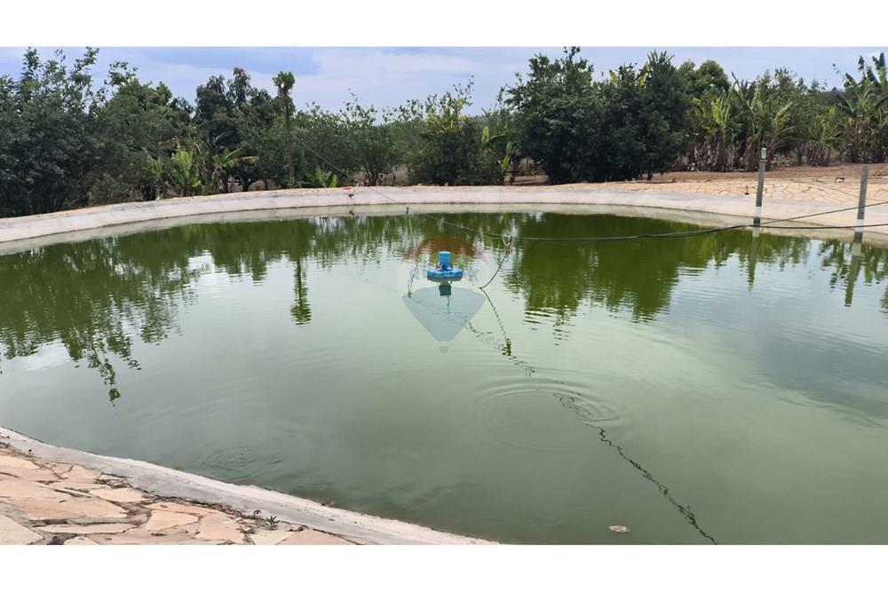 Chácara / Sítio / Fazenda - Venda - Cocalzinho de Goiás , Goiás - WhatsApp Image 2025-10-27 at 13.02.31 (1).jpeg - 880341129-15