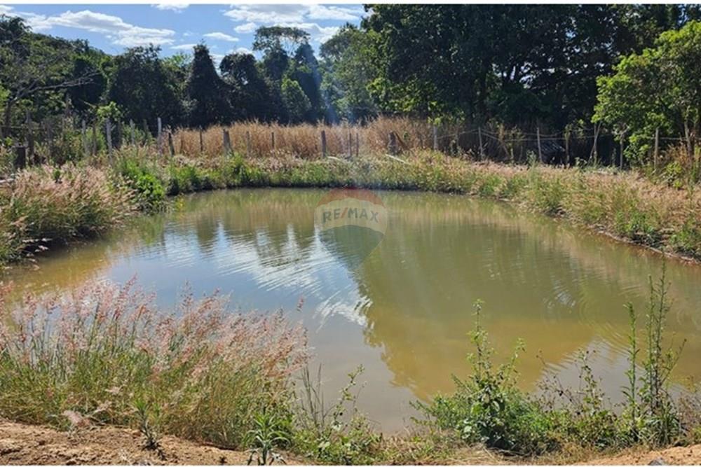 Chácara / Sítio / Fazenda - Venda - Recanto das Emas , Distrito Federal - WhatsApp Image 2025-10-10 at 3.31.44 PM (1).jpeg - 880111016-66