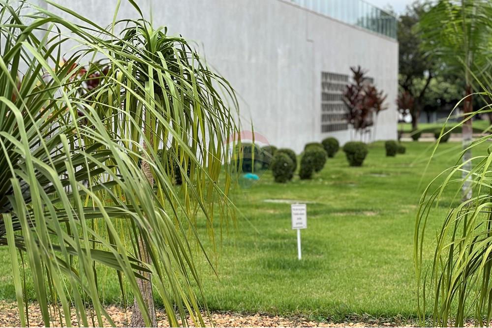 Apartamento - Venda - Guara , Distrito Federal - IMG_1726.JPG - 880351001-217