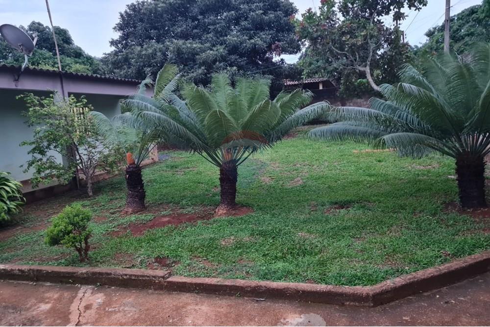 Chácara / Sítio / Fazenda - Venda - Padre Bernardo , Goiás - SEGUNDA FOTO JARDIM CHACARA EUSTAQUIO.jpeg - 880231148-17