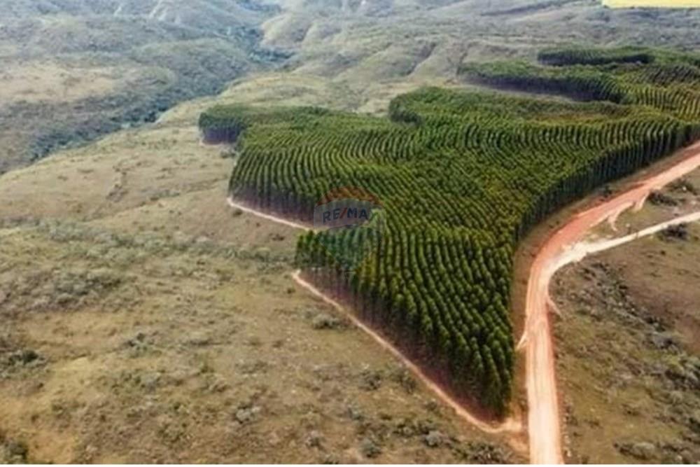 Chácara / Sítio / Fazenda - Venda - Água Fria de Goiás , Goiás - IMG-20250523-WA0247 (1).jpg - 880231017-80