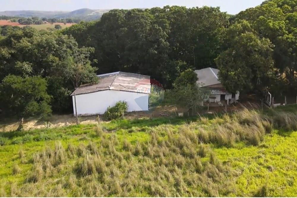 Chácara / Sítio / Fazenda - Venda - Gama , Distrito Federal - image (9).jpg - 880321005-55