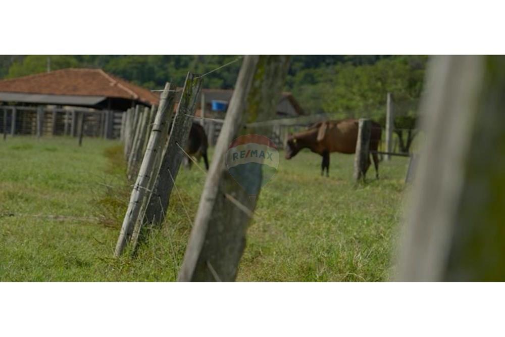 Chácara / Sítio / Fazenda - Venda - Unaí , Minas Gerais - WhatsApp Image 2025-02-26 at 08.09.35 (2).jpeg - Jardim Externo - 880261133-87