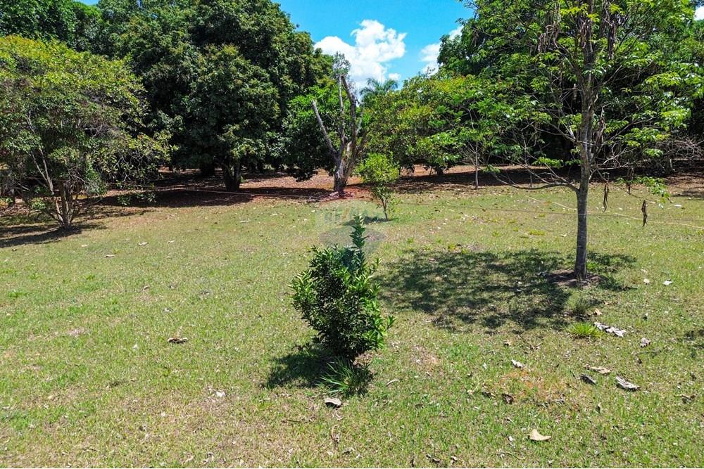 Chácara / Sítio / Fazenda - Venda - Cidade Ocidental , Goiás - DJI_0700.jpg - 880321021-99