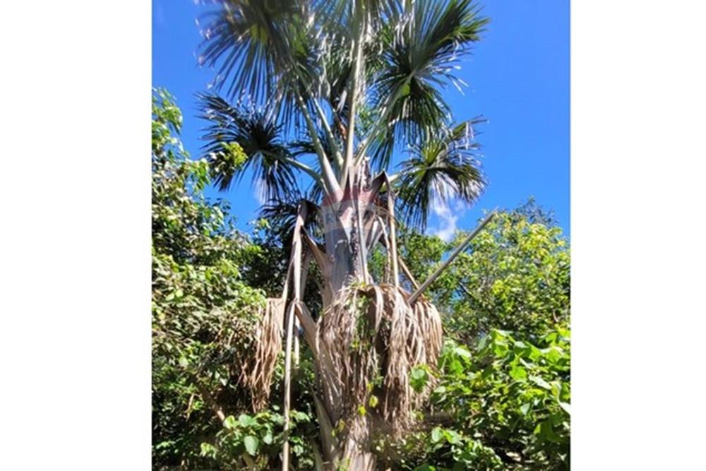 Terreno - Venda - Águas Lindas de Goiás , Goiás - 0b0fde07-7ff3-4bd7-8174-c1128c578226.jpg - 880111016-46