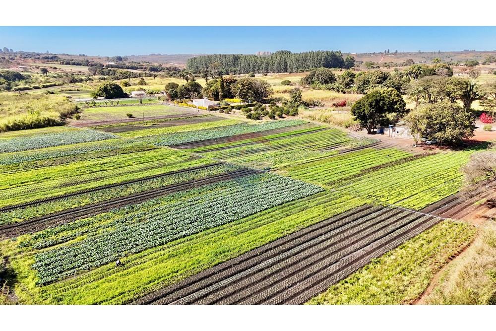 Chácara / Sítio / Fazenda - Venda - Ceilandia , Distrito Federal - DJI_20250707102339_0328_D.jpg - 880411017-37