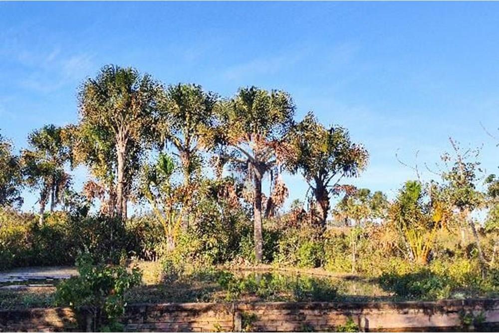 Chácara / Sítio / Fazenda - Venda - Cristalina , Goiás - WhatsApp Image 2025-07-29 at 16.23.20.jpeg - 880341026-65